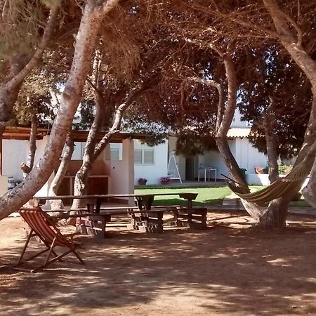 לינה וארוחת בוקר LMP Bolinajazz מראה חיצוני תמונה
